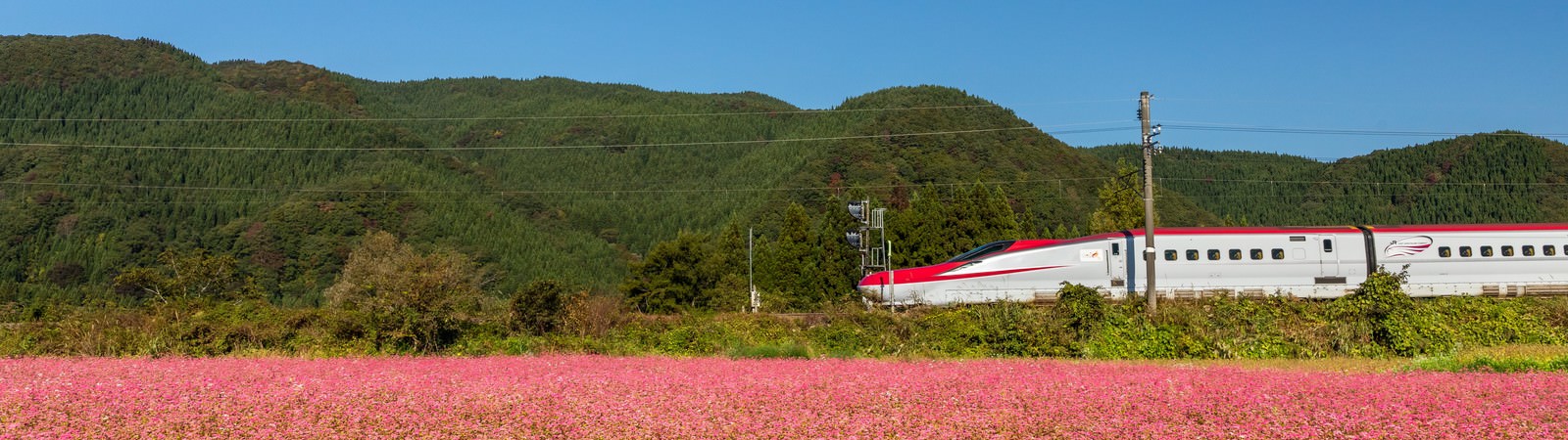 秋田県の路線一覧
