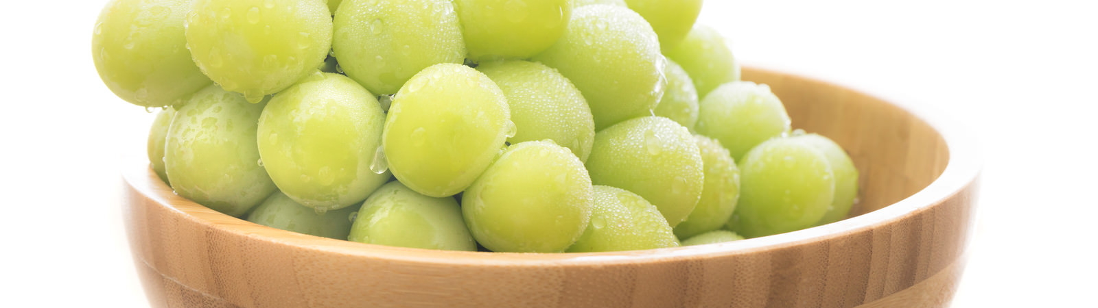 山梨県の路線一覧