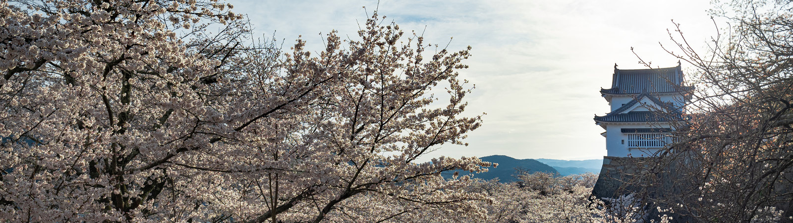 岡山県の路線一覧
